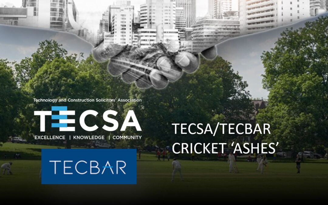 TECSA v TECBAR – Annual Hudson Ashes Cricket Clash 2024